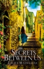 The Secrets Between Us - Book