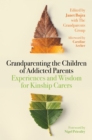 Grandparenting the Children of Addicted Parents : Experiences and Wisdom for Kinship Carers - eBook