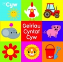 Cyfres Cyw: Geiriau Cyntaf Cyw - Book