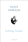 Falling Awake - eBook