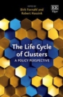 Life Cycle of Clusters : A Policy Perspective - eBook