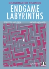 Endgame Labyrinths - Book