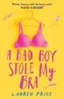 A Bad Boy Stole My Bra - eBook