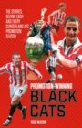 Promotion Winning Black Cats : The Stories Behind Each and Every Sunderland AFC Promotion Season - eBook