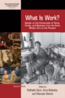 What is Work? : Gender at the Crossroads of Home, Family, and Business from the Early Modern Era to the Present - eBook
