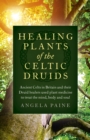 Healing Plants of the Celtic Druids : Ancient Celts in Britain and their Druid healers used plant medicine to treat the mind, body and soul - Book