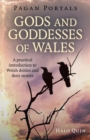 Pagan Portals - Gods and Goddesses of Wales : A practical introduction to Welsh deities and their stories - eBook