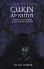Pagan Portals - Gwyn ap Nudd - Wild god of Faery, Guardian of Annwfn - Book