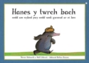 Hanes y Twrch Bach oedd am Wybod Pwy oedd Wedi Gwneud ar ei Ben - Book