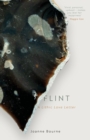 Flint : a lithic love letter - eBook