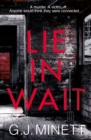 Lie in Wait : A dark and gripping crime thriller - eBook