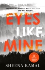Eyes Like Mine : 'Utterly compelling . . . Will stay with you for a long, long time' Jeffery Deaver - Book