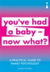 A Practical Guide to Family Psychology : You've had a baby - now what? - Book