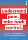 A Practical Guide to Chronic Pain Management - eBook