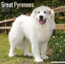 Great Pyrenees 2021 Wall Calendar - Book