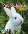 Pet Rabbits : Phonics Phase 3 - Book
