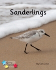 Sanderlings : Phonics Phase 4 - Book
