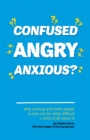 Confused, Angry, Anxious? : Why Working with Older People in Care Really Can be Difficult, and What to Do About it - Book