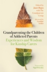 Grandparenting the Children of Addicted Parents : Experiences and Wisdom for Kinship Carers - Book