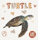 Turtle - Book