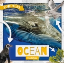 Ocean Food Webs - Book