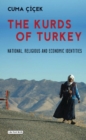 The Kurds of Turkey : National, Religious and Economic Identities - eBook