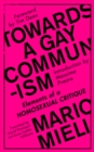 Towards a Gay Communism : Elements of a Homosexual Critique - eBook