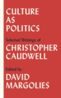 Culture as Politics : Selected Writings - eBook