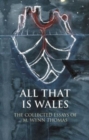 All That Is Wales : The Collected Essays of M. Wynn Thomas - Book