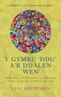 Y Gymru 'Ddu' a'r Ddalen 'Wen' : Aralledd ac Amlddiwylliannedd mewn Ffuglen Gymreig, er 1990 - Book