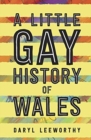 A Little Gay History of Wales - Book