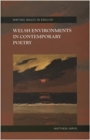 Welsh Environments in Contemporary Poetry - eBook