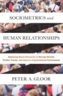 Sociometrics and Human Relationships : Analyzing Social Networks to Manage Brands, Predict Trends, and Improve Organizational Performance - eBook