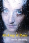 Making it Rain - Book