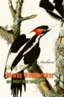 Downy Woodpecker and Other Bird Songs - eAudiobook