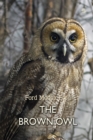 The Brown Owl - eBook