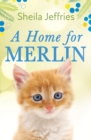 A Home for Merlin - eBook
