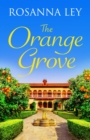 The Orange Grove : a delicious, escapist romance set in sunny Seville - eBook