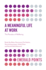 A Meaningful Life at Work : The Paradox of Wellbeing - eBook
