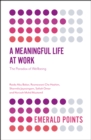 A Meaningful Life at Work : The Paradox of Wellbeing - Book