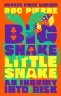 Big Snake Little Snake : An Inquiry into Risk - Book