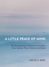 A Little Peace of Mind : The Revolutionary Solution for Freedom from Anxiety, Panic Attacks and Stress - Book