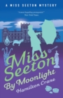 Miss Seeton by Moonlight - Book