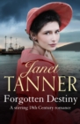 Forgotten Destiny : A stirring 18th Century romance - eBook