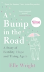 A Bump in the Road : A Story of Fertility, Hope and Trying Again - eBook