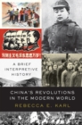 China's Revolutions in the Modern World : A Brief Interpretive History - eBook