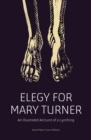 Elegy for Mary Turner : An Illustrated Account of a Lynching - eBook