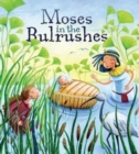 Moses in the Bulrushes - Book