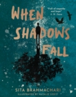When Shadows Fall - eBook