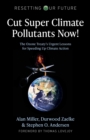 Cut Super Climate Pollutants Now! : The Ozone Treaty's Urgent Lessons for Speeding Up Climate Action - eBook